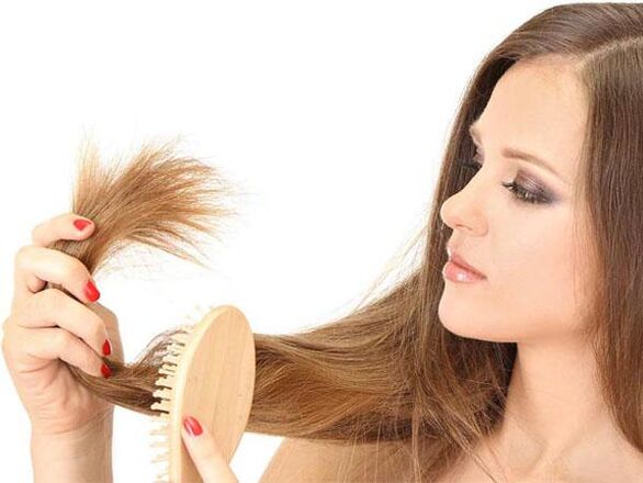 La sección de los extremos del cabello